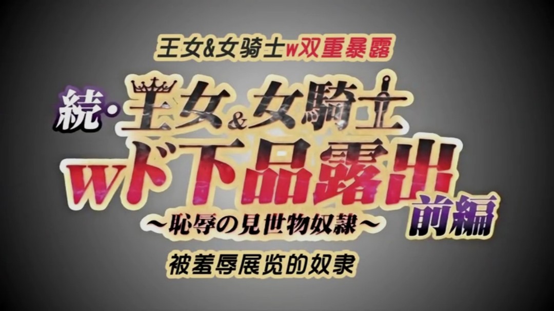 第一集长期持续的超级大国之间的战争以德米纳斯帝国的胜利而告终引导爱尔斯塔王国走向灭