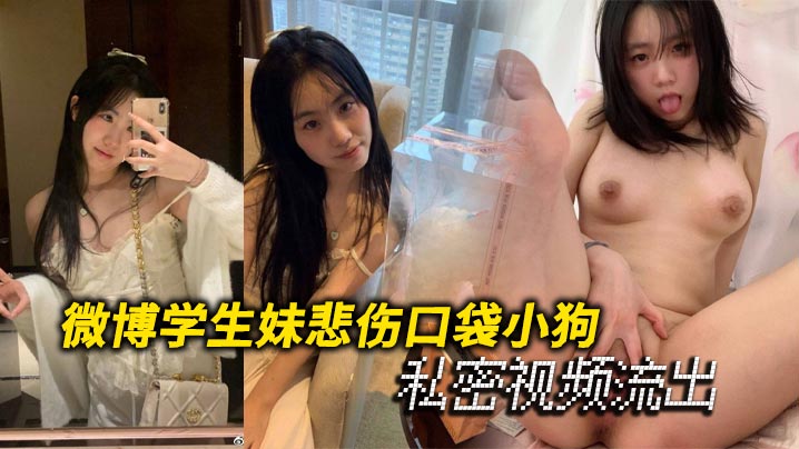 微博学生妹悲伤口袋小狗私密视频流出}