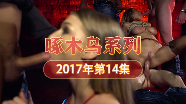 大家的肉便器 啄木鸟17年系列-第14集