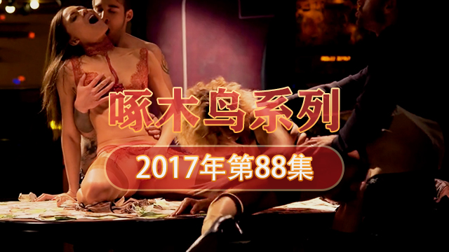 巨乳肥臀木瓜奶 啄木鸟17年系列-第88集}