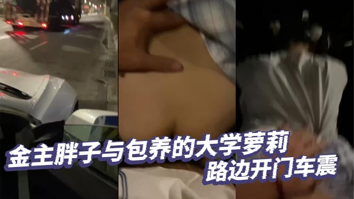 金主胖子与包养的大学萝莉路边开门车震}