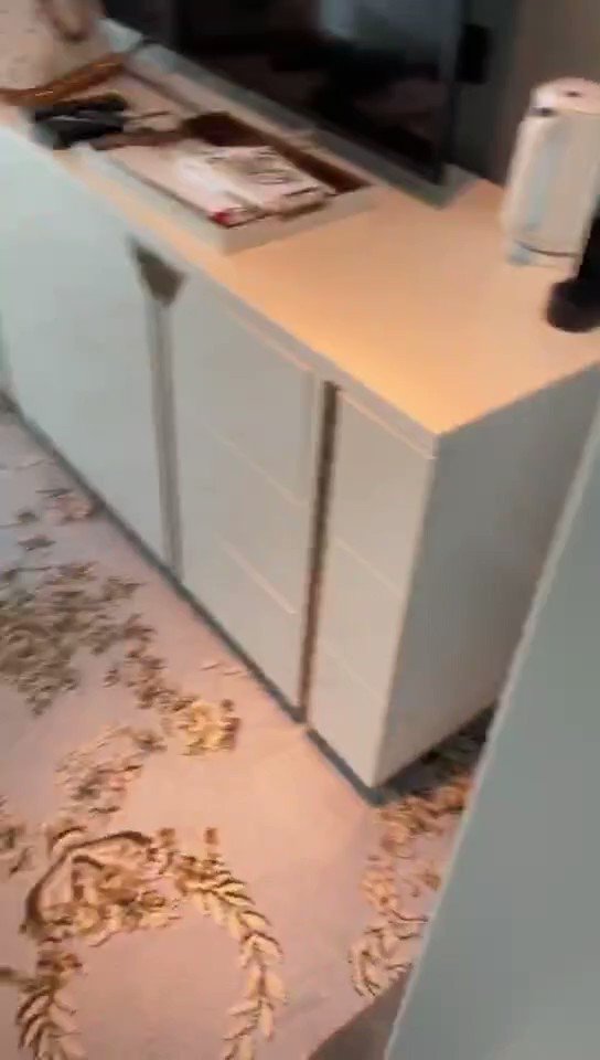 【遛狗电梯露出视频，绝对精彩！！！】你们猜这条小狗在电梯门口蹲了多久？转发过百发滴腊视频！封面图