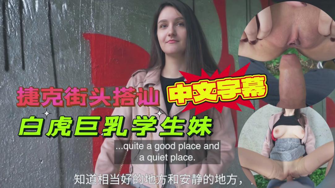 捷克街头搭讪白虎巨乳学生妹，出高价户外打野战封面图