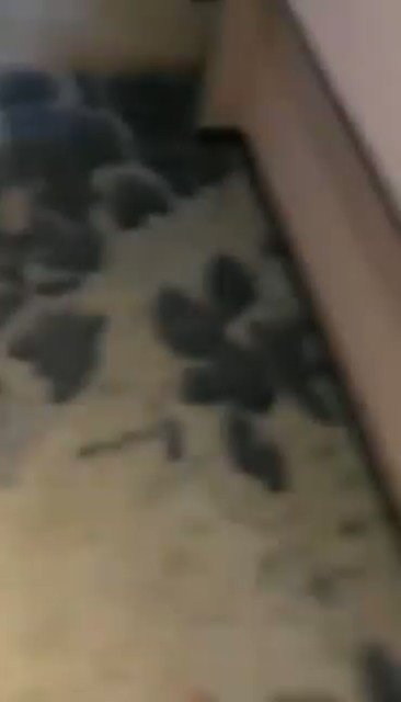 看着我被操，不拦着也就算了，还用手机录视频。封面图