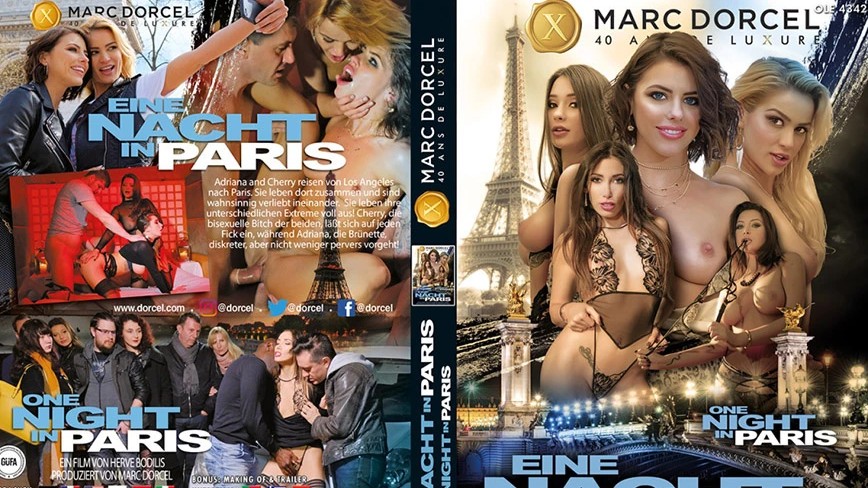 啄木鸟巴黎之夜封面图